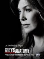 GREY´S ANATOMY
